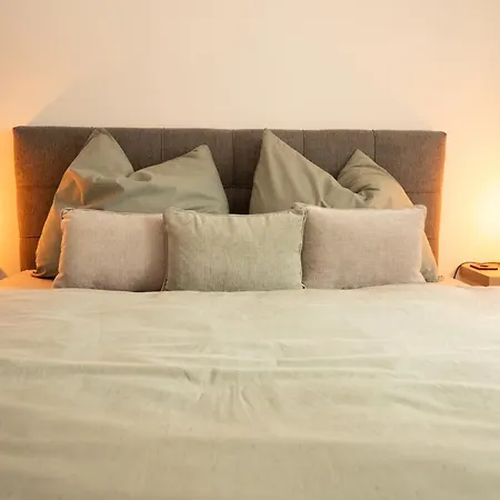 Franz 38 - 公寓 哈尔施塔特