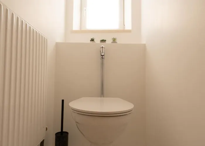 Franz 38 - 哈尔施塔特