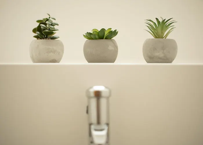 Franz 38 - Hallstatt