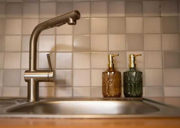 Franz 38 - 公寓 哈尔施塔特